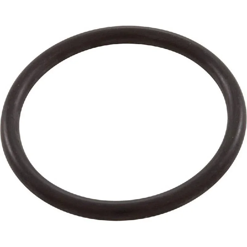 Pentair-86006900-Clean-And-Clear-Plus_FNS-Plus-Bulkhead-O-Ring