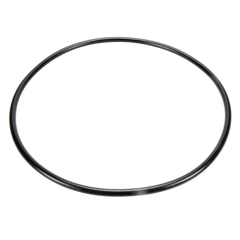 Pentair-87300400Z-Clean-And-Clear_Posi-Clear-Tank-O-Ring