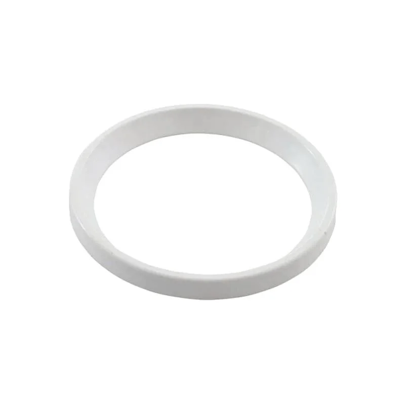 Pentair-985800-Compensating-Ring