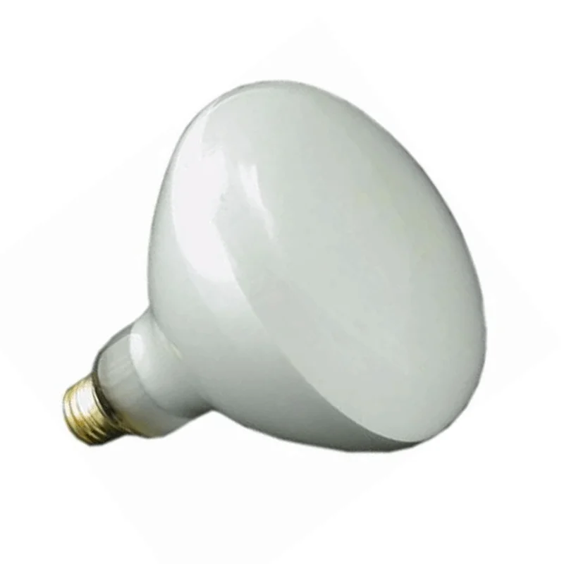 Pentair-Amerlite-Inground-Pool-Light-Replacement-Bulb