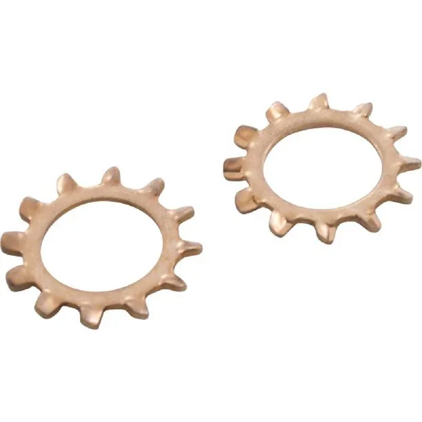 Pentair-JV61-2-Pack-Of-Jet-Vac-Roller-Arm-Lock-Washers2