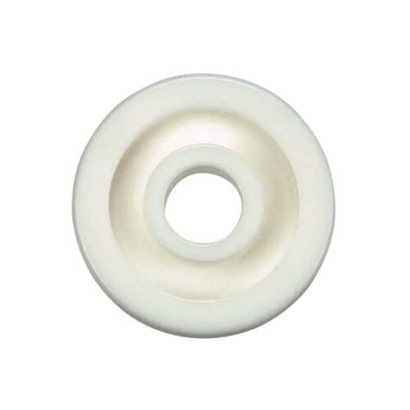 Pentair-R03021Z-1