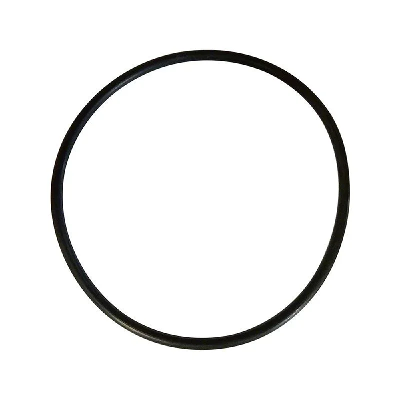 Pentair-R172009Z-Viton-Chemical-Feeder-Lid-O-Ring