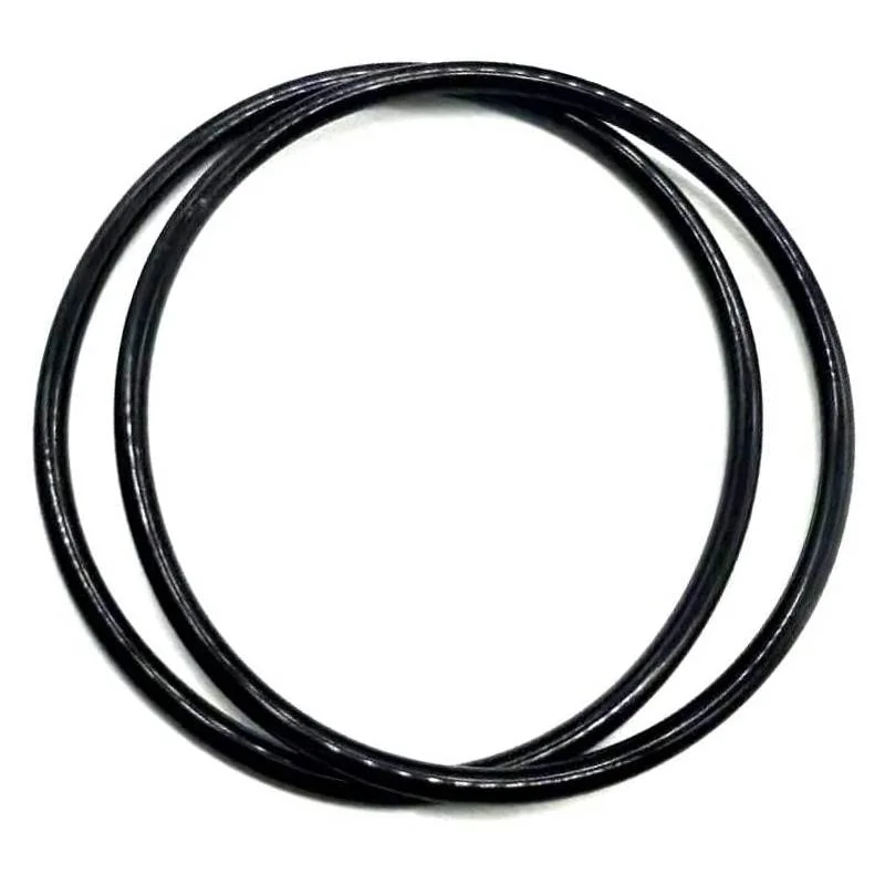 Pentair-R172223-Cart-Filter-LID-To-Housing-O-Ring