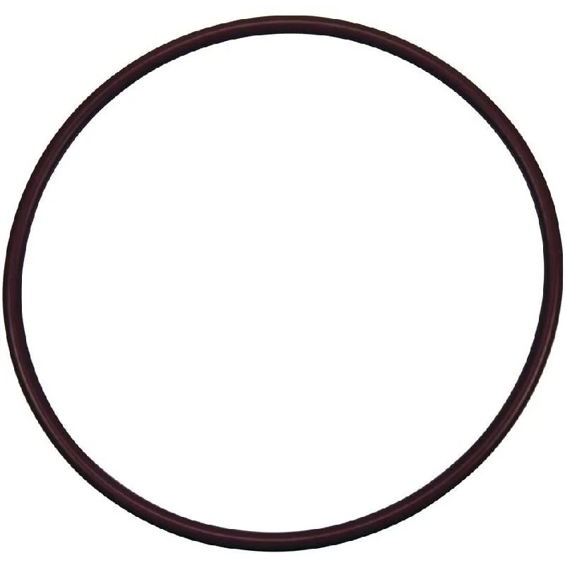 Pentair-R172240-High-Capacity-Chlorinator-Lid-O-Ring