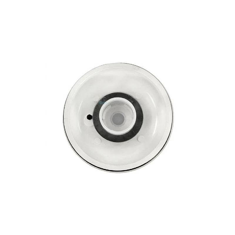 Pentair-R172385-RTL_RCF-25-Completed-LID-Assembly3