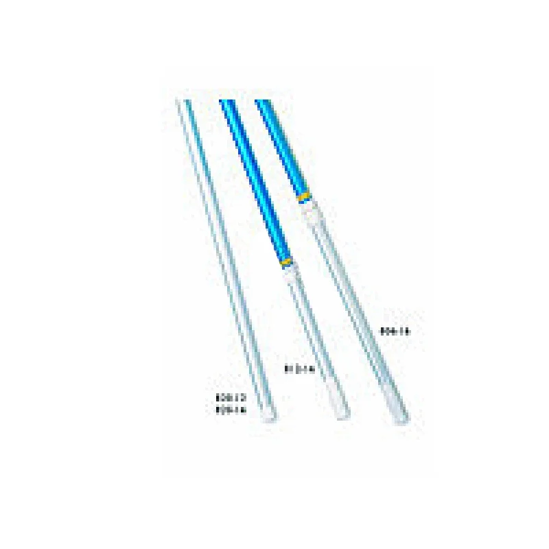 Pentair-R191101-Rainbow-Lifegard-12-22-Commercial-Telescopic-Pole