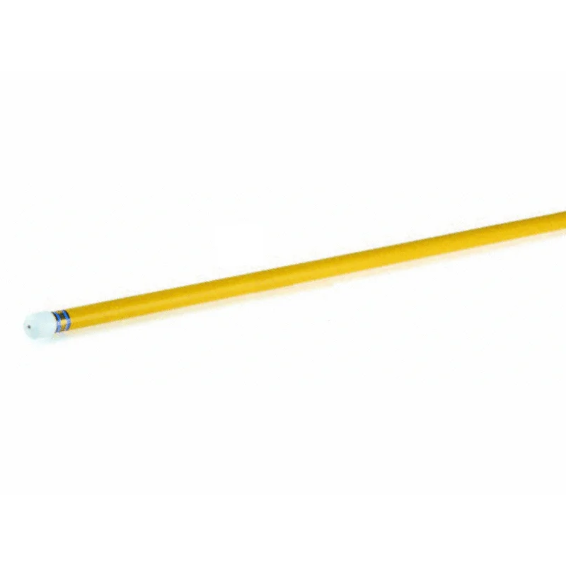 Pentair-R191104-Rainbow-Lifegard-16-Commercial-Telescopic-Pole-with-Pole-Cap