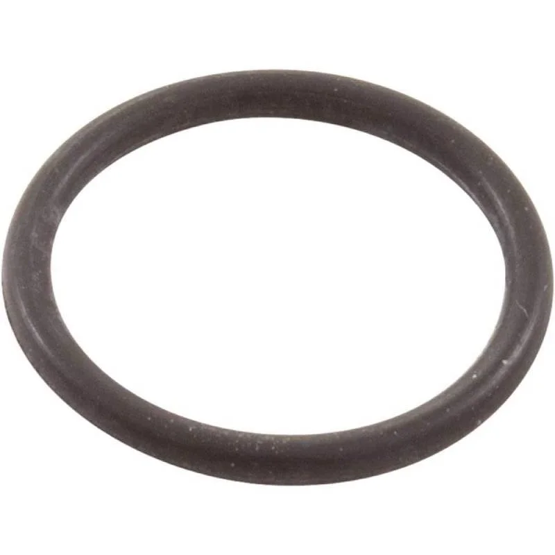 Polaris-48-141-480-PRO3900-Sport-Feed-Hose-Connector-Oring1