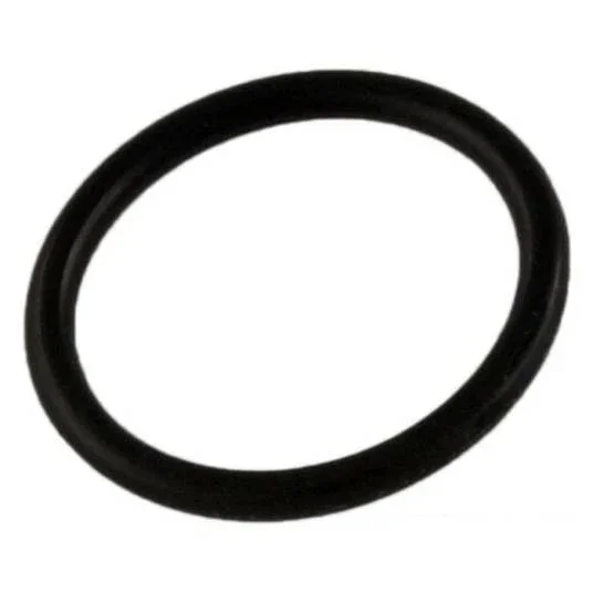 Polaris-D24-180-Quick-Disconnect-Plug-O-Ring1