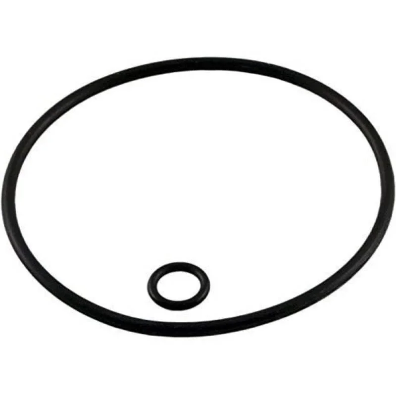 Polaris-G58-380360280180-Back-Up-Valve-Oring-Kit1