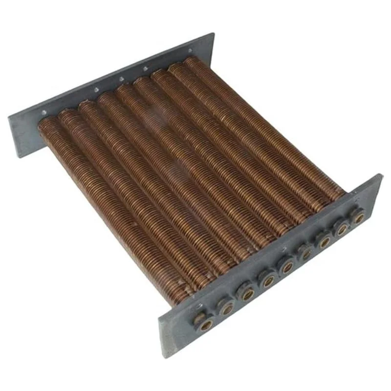 Raypak-004672F-1
