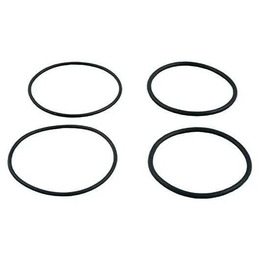 Raypak-006724F-2-Connector-Oring-Kit1