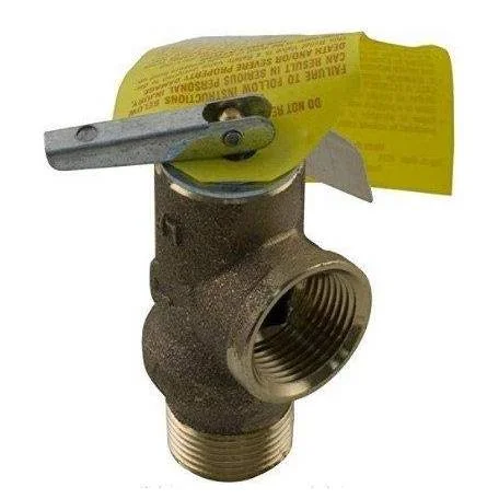Raypak-008091F-125PSI-Pressure-Relief-Valve