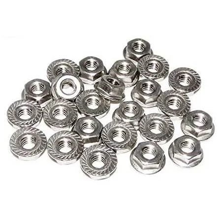 Raypak-008259F-.25-20-Flange-Nut-Kit1