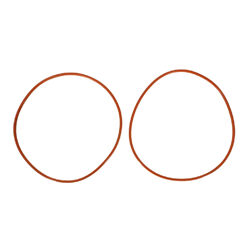 Raypak-011600F-O-Ring