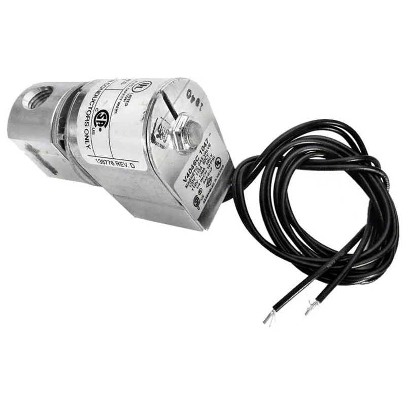 Raypak-600154-Pilot-Gas-Valve-120V