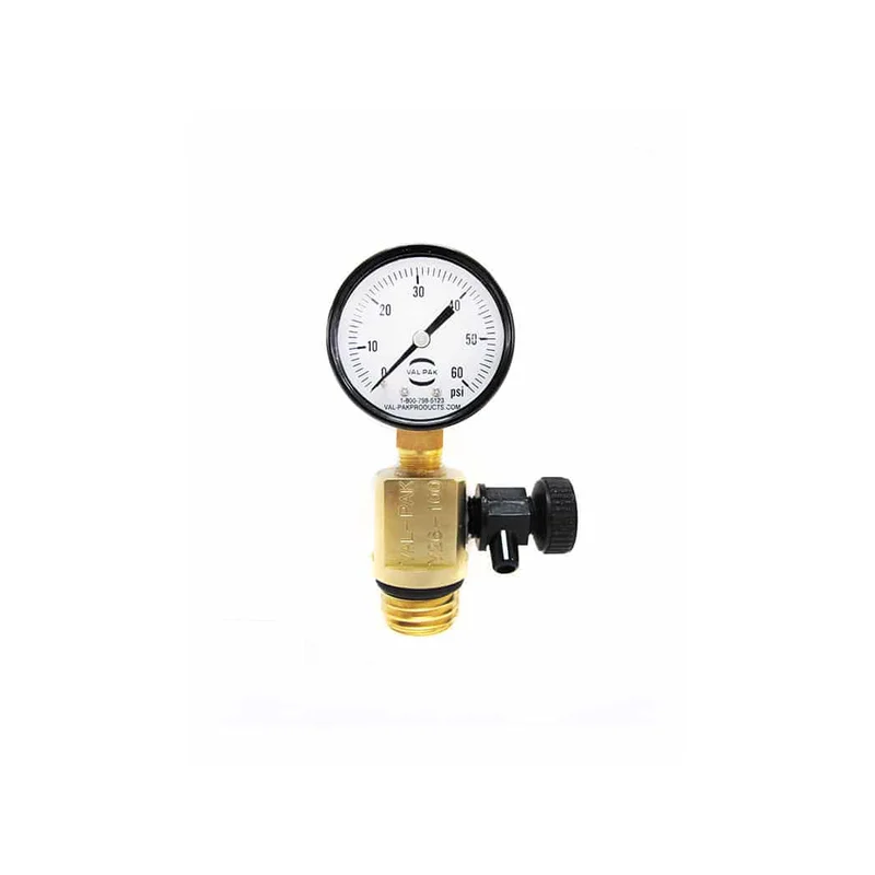 Val-Pak-V26-100-Sta-Rite-System-3-Air-Relief-and-Gauge-Assembly