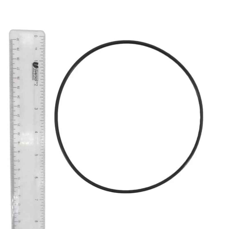 Waterco-635028-Aqueduct-Pump-Body-O-Ring-1