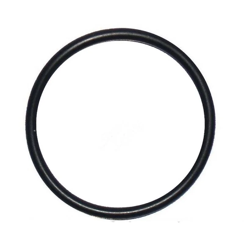 Waterway-805-0127SD-Air-Control-O-Ring