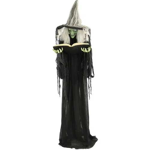Witch-with-Book-img1