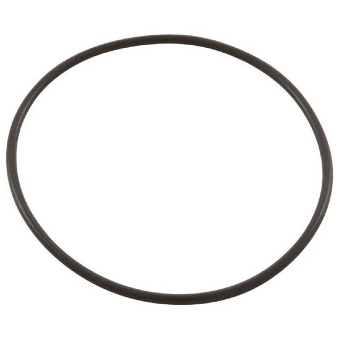 Zodiac-1132-Diverter-Valve-Cover-Oring1