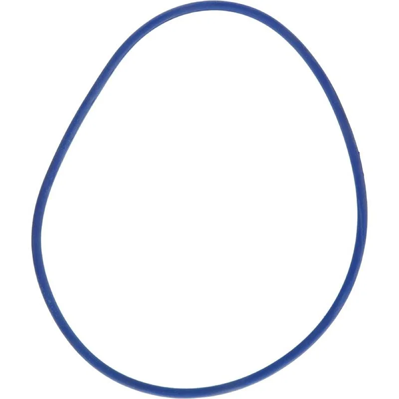 Zodiac-R0479000-SHPSHPM_SWF-Blue-Pressure-Test-O-Ring-2