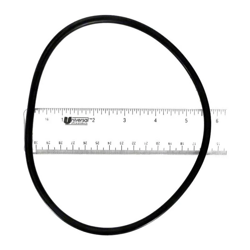 Zodiac-R0558800-PHP_PHPU-Pot-Lid-O-Ring-1