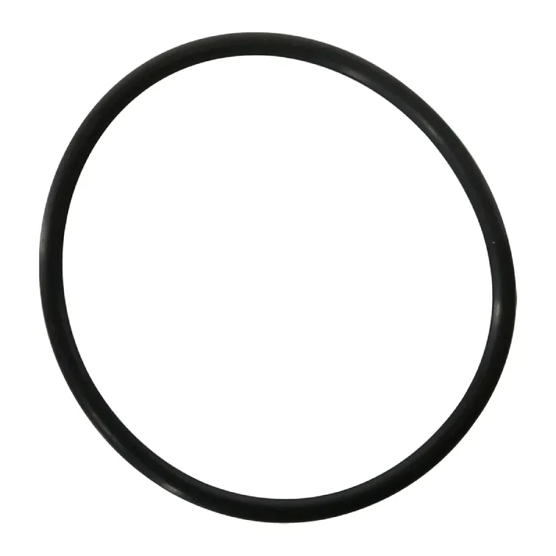Zodiac-R0694100-Truclear-Cell-O-Ring-1