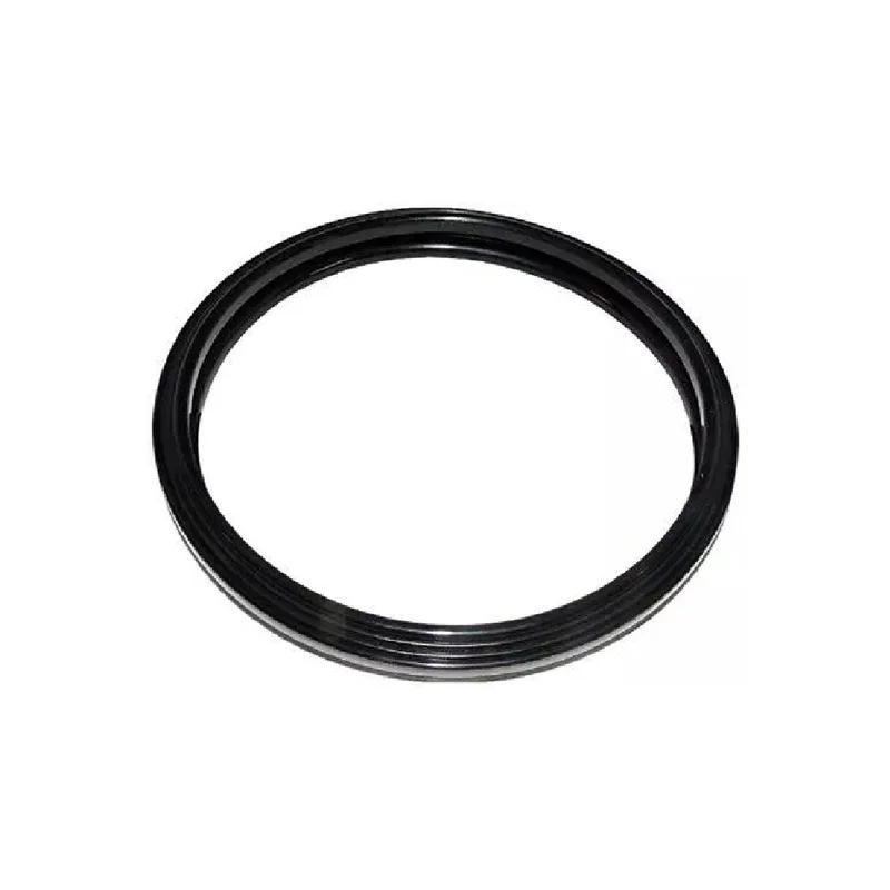 Zodiac-R0791100-Jandy-Silicone-Gasket