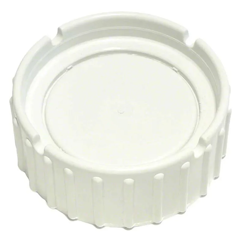 Zodiac-W193821-C-Series-Chlorinator-Blank-Cap-Replacement