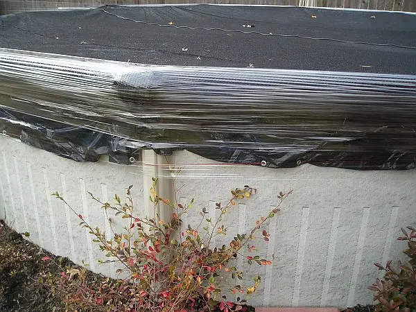 backyardcitypools-1017842