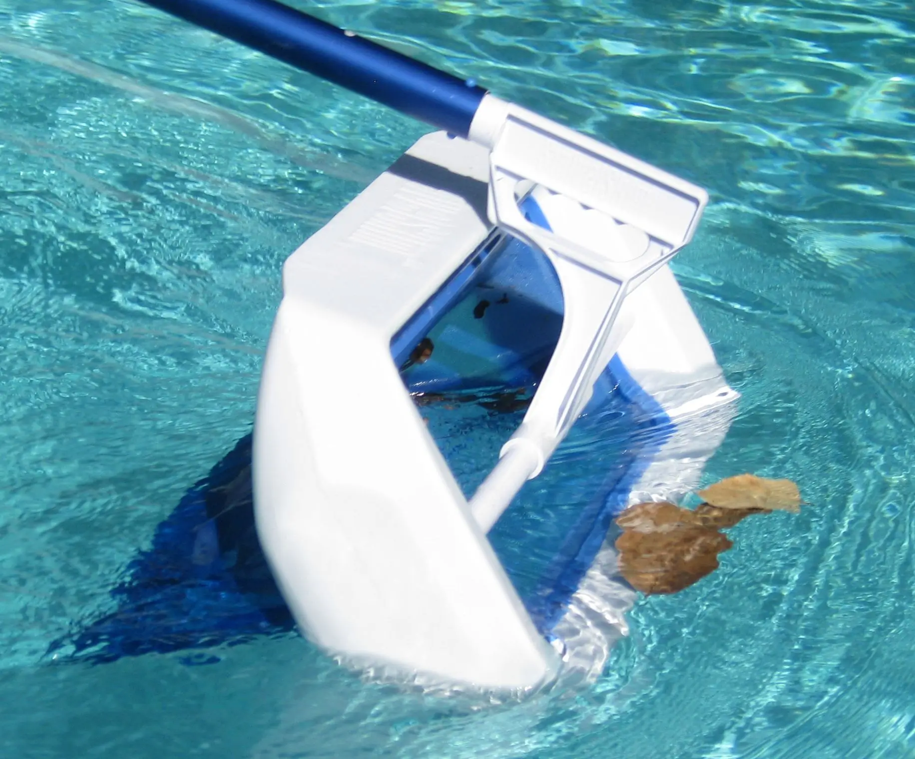 backyardcitypools-1018103