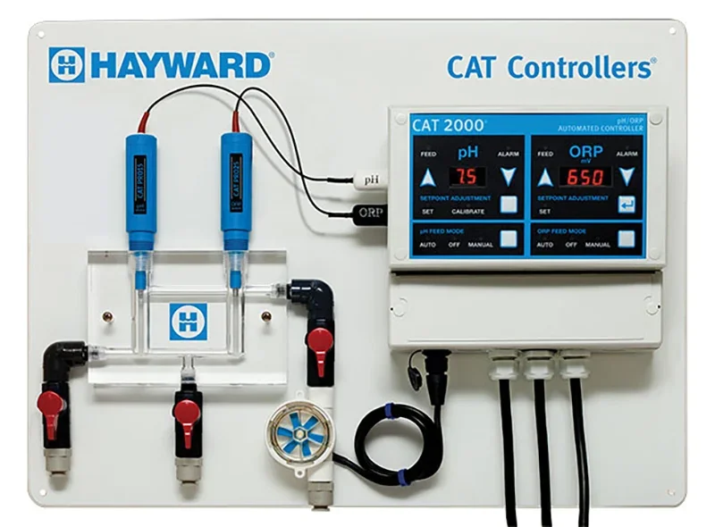 cat-2000
