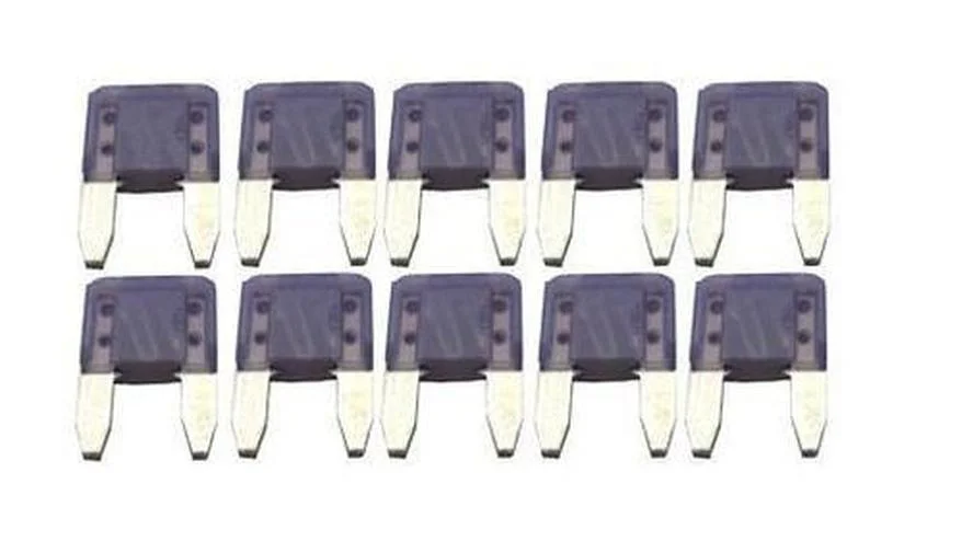 florida-sunseeker982239