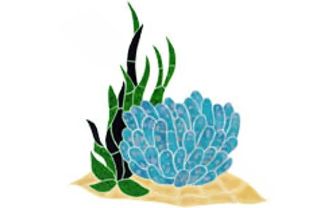 mavaquadoc962170