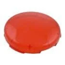 poolplaza1961536