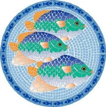poolplaza1989642