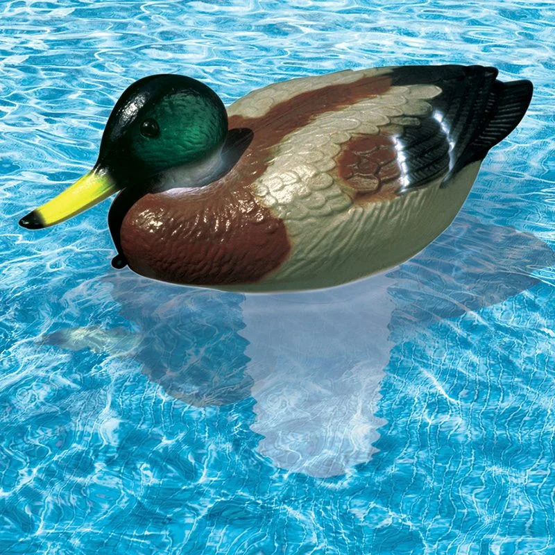 poolplaza1996905