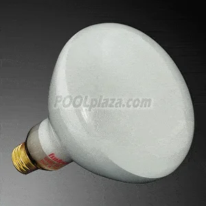 poolplaza2996666