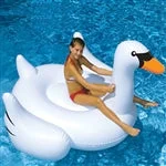 poolsupply4less1951473