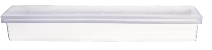 royalswimmingpools-1055134