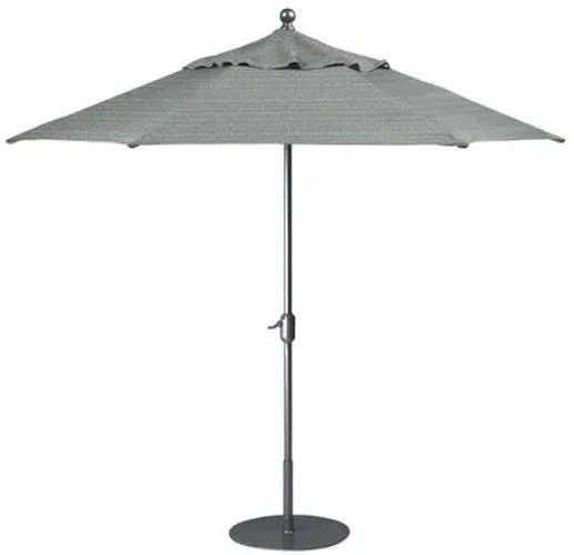 watsons-1026868