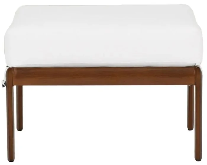 watsons-1050234